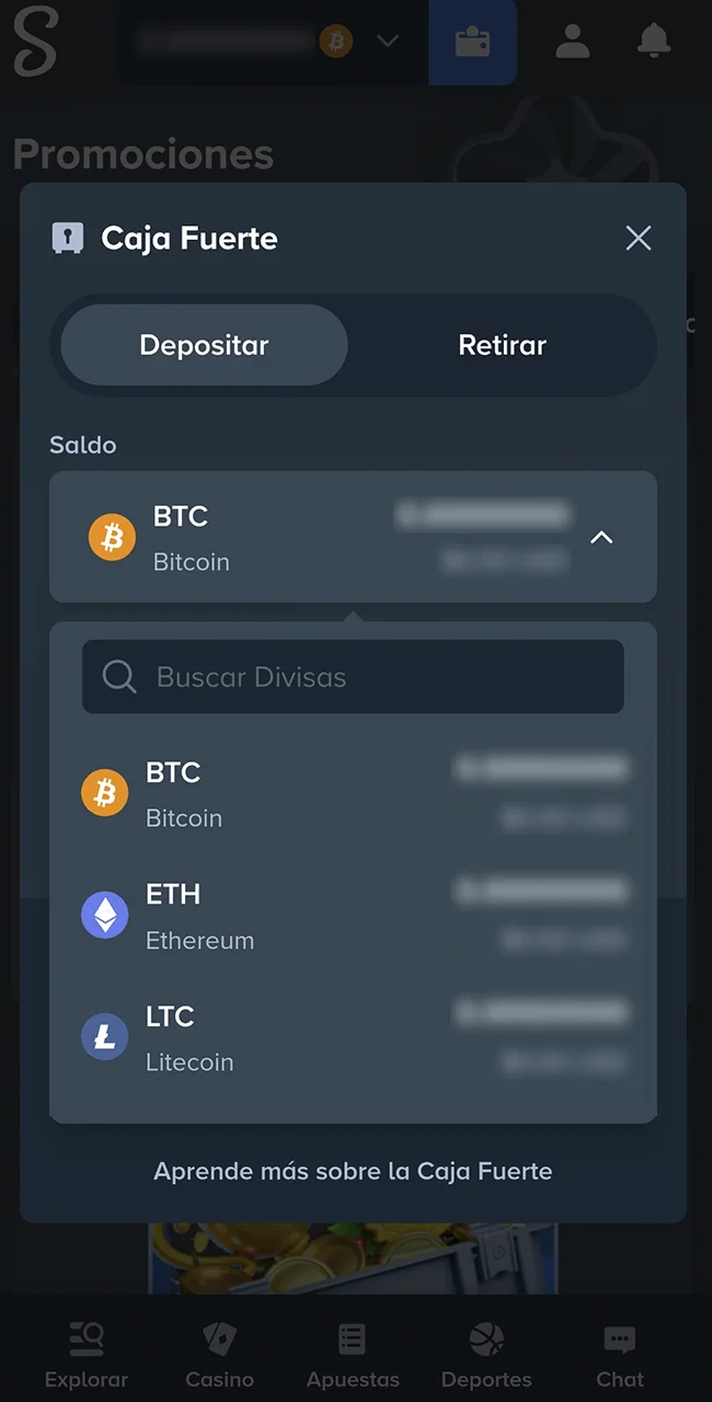 Cargá fondos en sitio oficial Stake.